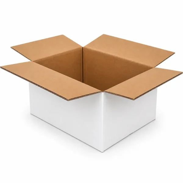 35x22x15cm Double Corrugated Box - White - 3