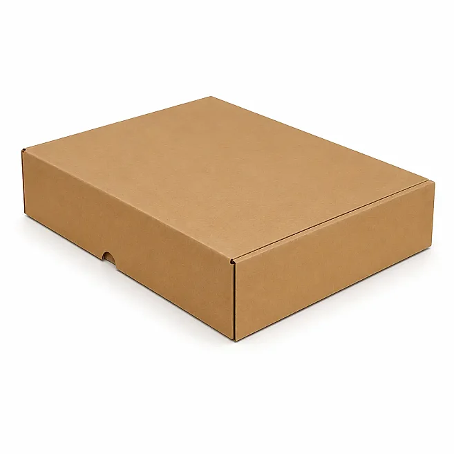 35x24x7cm Transport Box - Kolicim (1)