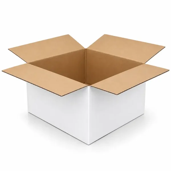 35x25x15 cm Box – 4 Desi Box – Double Wall Box – White - 1