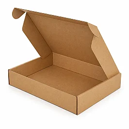 38x28x4cm Transport Box - 1