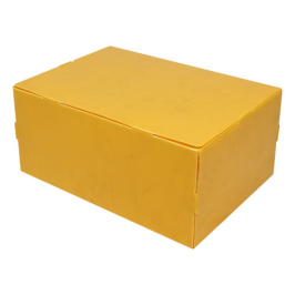 40x29x18 Plastic Box - Large Size - Thumbnail