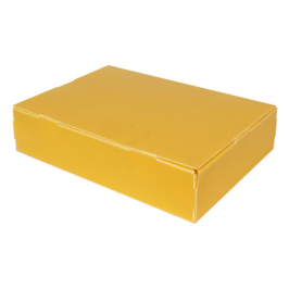 40x29x5cm Plastic Box - Mini Size - Thumbnail