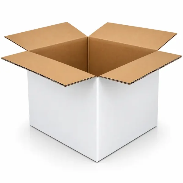 40x30x30cm Double Corrugated White Box - 1