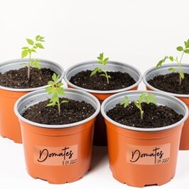 ملصقات شفافة قابلة للكتابة ‎٥ × ٨,٥ سم‎ – ‎٣٠ قطعة‎ - Kolicim (1)