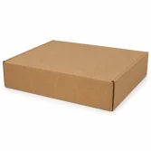 صندوق مقفل مزدوج الجدار 50×40×10 سم – كرافت - 2