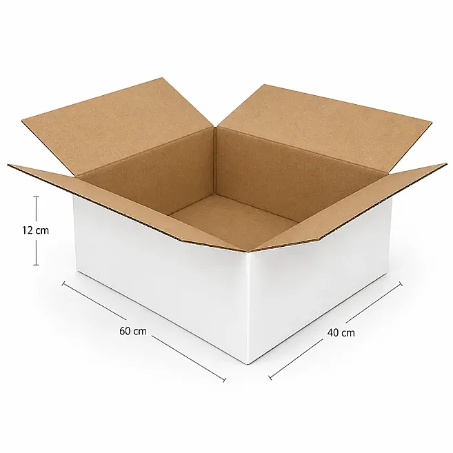 60x40x12cm Double Corrugated Box - White - Kolicim (1)