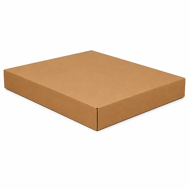 صندوق لوحة مزدوج الجدار 65×60×8 سم - 3