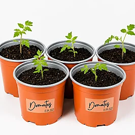 Writable Transparent Labels 7.5x7.5cm – 25 Pieces - 3