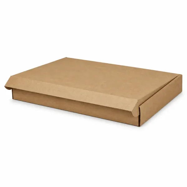 77x54x8cm Double Slotted Locked Box - Kraft - 3