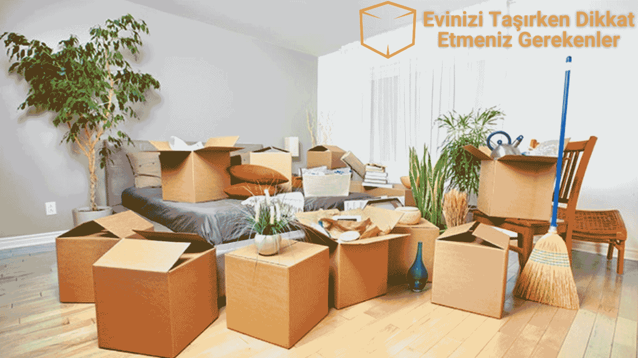 Important Points to Consider When Moving Your House.