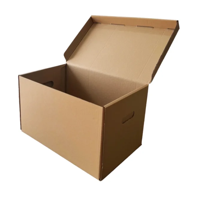 صندوق أرشيف مزدوج الجدار 51×33×31 سم - 3