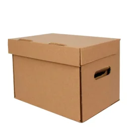 صندوق 32.5*23.5*23 سم - 6 صناديق ديسي - صندوق أرشيف مموج مزدوج - 2